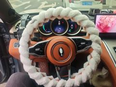 Ora Lightning Cat 555km Premium Edition - ფოტო 18
