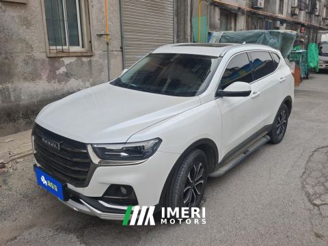 2021 Haval H6 Guochao Edition 1.5T 2WD Urban Edition - ავტომობილი ჩინეთიდან