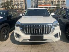 Haval H9 2.0T Luxury Edition 7-seater - фото 1