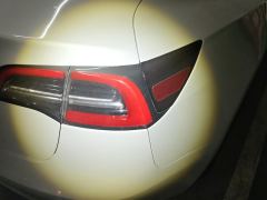 Tesla Model 3 Standard Range Edition 3D6 - фото 5