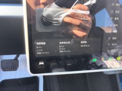 Tesla Model 3 713km Long Range AWD - ფოტო 20