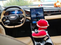 Geely Boyue L 1.5T Premium Version - photo 16