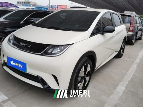 2023 BYD Dolphin 420km Free Version - ავტომობილი ჩინეთიდან