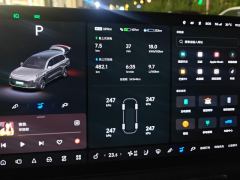 Li Auto L9 Max - ფოტო 17