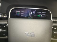 Li Auto L9 Max - ფოტო 20