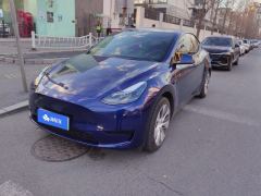 Tesla Model Y 545km Rear-Wheel Drive Edition - ფოტო 1