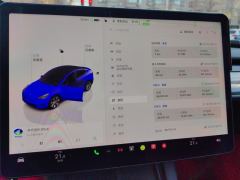 Tesla Model Y 545km Rear-Wheel Drive Edition - ფოტო 20
