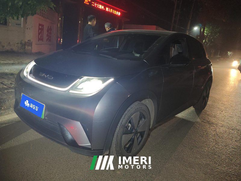 BYD Dolphin 420km Free Version - ავტომობილი ჩინეთიდან