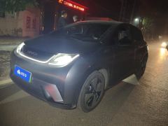 BYD Dolphin 420km Free Version - ფოტო 1