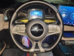BYD Dolphin 420km Free Version - ფოტო 18