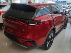 BYD Tang DM-i Champion Edition 1.5T 112km Precursor Premium 7-seater - ფოტო 2