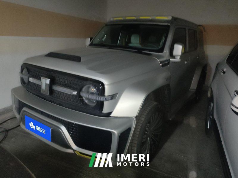 Tank 300 2.0T - car from China