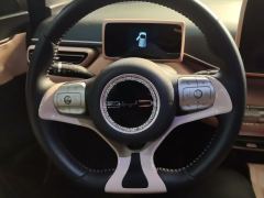 BYD Seagull 305km Free Version - photo 18