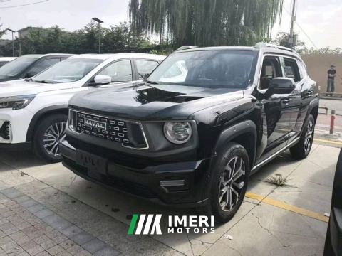 2024 Haval Great Wall Big Dog 1.5T 2WD Edition - автомобиль из Китая