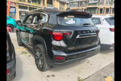 Haval Great Wall Big Dog Great Wall Dog 1.5T 2WD Edge Pastoral Edition - photo 16