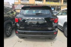 Haval Great Wall Big Dog Great Wall Dog 1.5T 2WD Edge Pastoral Edition - photo 17