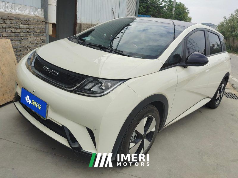 BYD Dolphin 420km Stylish Edition - ავტომობილი ჩინეთიდან