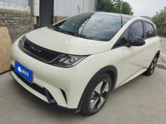 BYD Dolphin 420km Stylish Edition - ფოტო 1