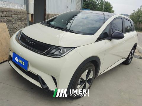2023 BYD Dolphin 420km Stylish Edition - car from China