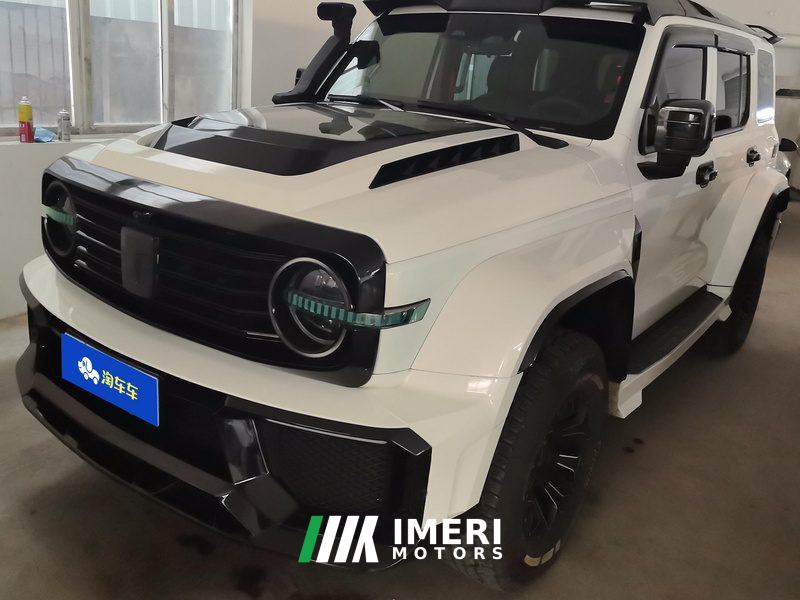 Tank 300 Off-Road Edition 2.0T Conqueror - car from China