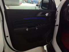Tank 300 Off-Road Edition 2.0T Conqueror - photo 12