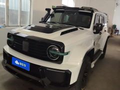 Tank 300 Off-Road Edition 2.0T Conqueror - photo 3