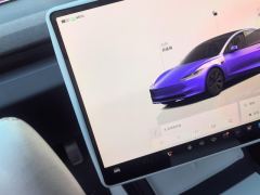 Tesla Model 3 713km Long Range AWD - ფოტო 19