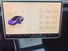 Tesla Model 3 713km Long Range AWD - ფოტო 20