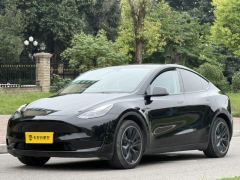 Tesla Model Y Facelift 545km Rear-Wheel Drive Edition - фото 1