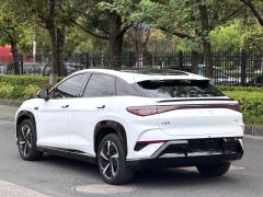 BYD Haima Lion 07EV 610km Long Range Edition - фото 10