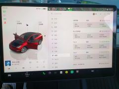 Tesla Model Y 660km Long Range AWD - ფოტო 20