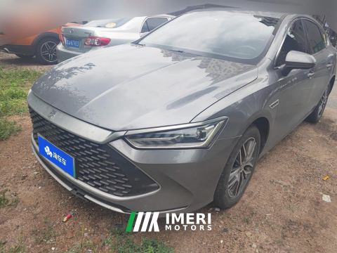 2023 BYD Qin PLUS DM-i Champion Edition 1.5L 120km Leading Edition