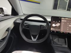 Tesla Model 3 606km Rear-Wheel Drive Edition - фото 18