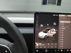 Tesla Model 3 606km Rear-Wheel Drive Edition - фото 19