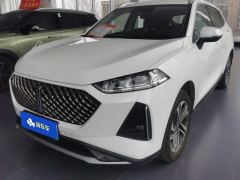 Great Wall Macchiato PHEV 1.5L 110km Edition - ფოტო 1