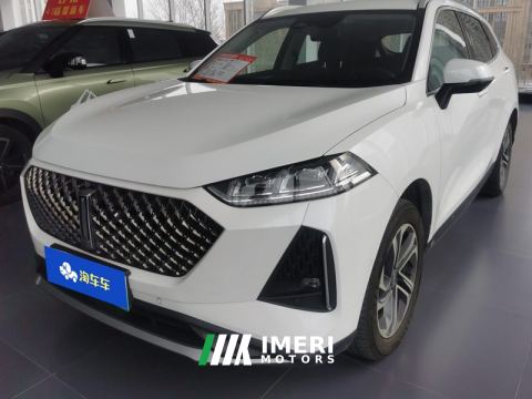 2021 Great Wall Macchiato PHEV 1.5L 110km Edition - ავტომობილი ჩინეთიდან