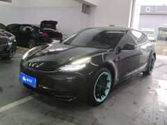 Tesla Model 3 556km Rear-Wheel Drive Edition - ფოტო 1