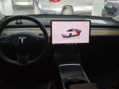Tesla Model 3 556km Rear-Wheel Drive Edition - ფოტო 16
