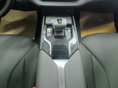 FAW Hongqi E-QM5 610km PLUS - ფოტო 19