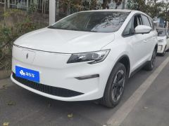Livan Rui Lan Motors 8 515km Long Range Edition - ფოტო 1