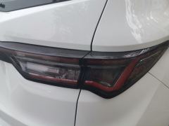 Livan Rui Lan Motors 8 515km Long Range Edition - ფოტო 5