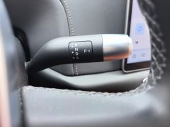 Li Auto L9 Max - фото 19