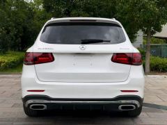 Mercedes-Benz GLC 300 L 4MATIC Dynamic Premium Edition - ფოტო 8