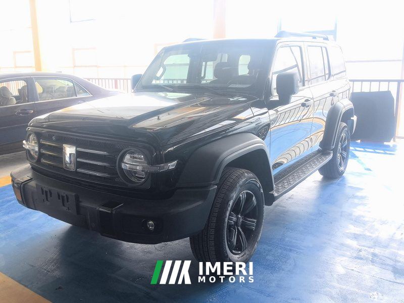 Tank 300 Off-Road Edition 2.0T Conqueror - ავტომობილი ჩინეთიდან