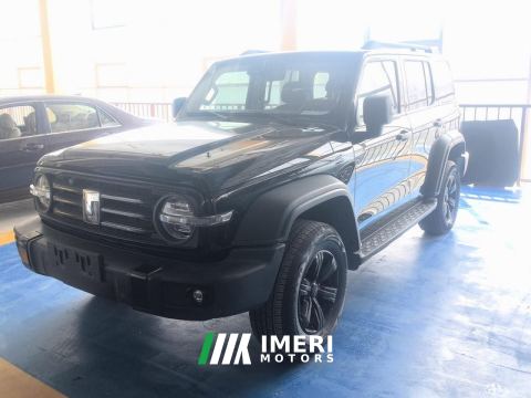 2023 Tank 300 Off-Road Edition 2.0T Conqueror - car from China