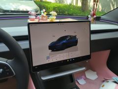 Tesla Model 3 606km Rear-Wheel Drive Edition - ფოტო 17