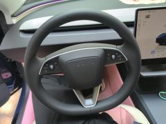 Tesla Model 3 606km Rear-Wheel Drive Edition - ფოტო 18