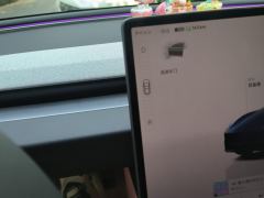 Tesla Model 3 606km Rear-Wheel Drive Edition - ფოტო 19