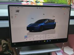 Tesla Model 3 606km Rear-Wheel Drive Edition - ფოტო 20