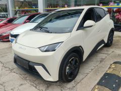 BYD Seagull 305km Free Version - ფოტო 1